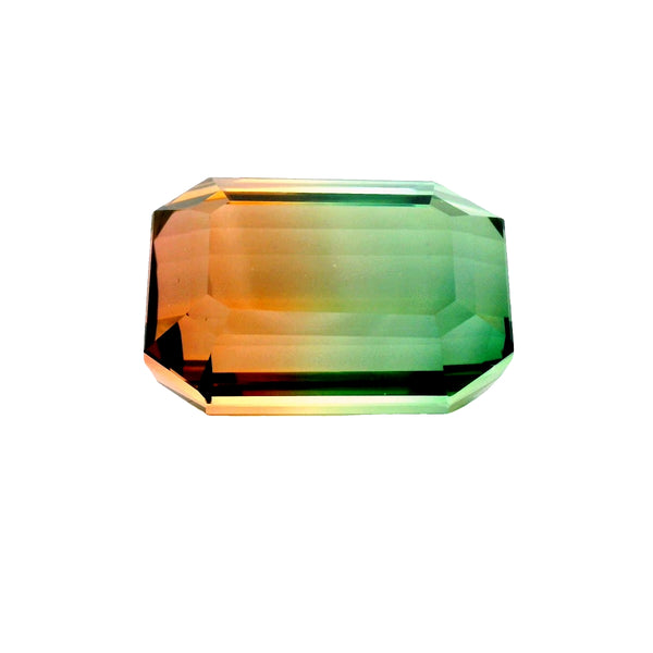 Amazing 62.36ct BI-Color Tourmaline Afghanistan!!