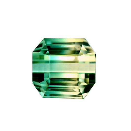12.90 Natural BI-Color Tourmaline & Cushion Cut