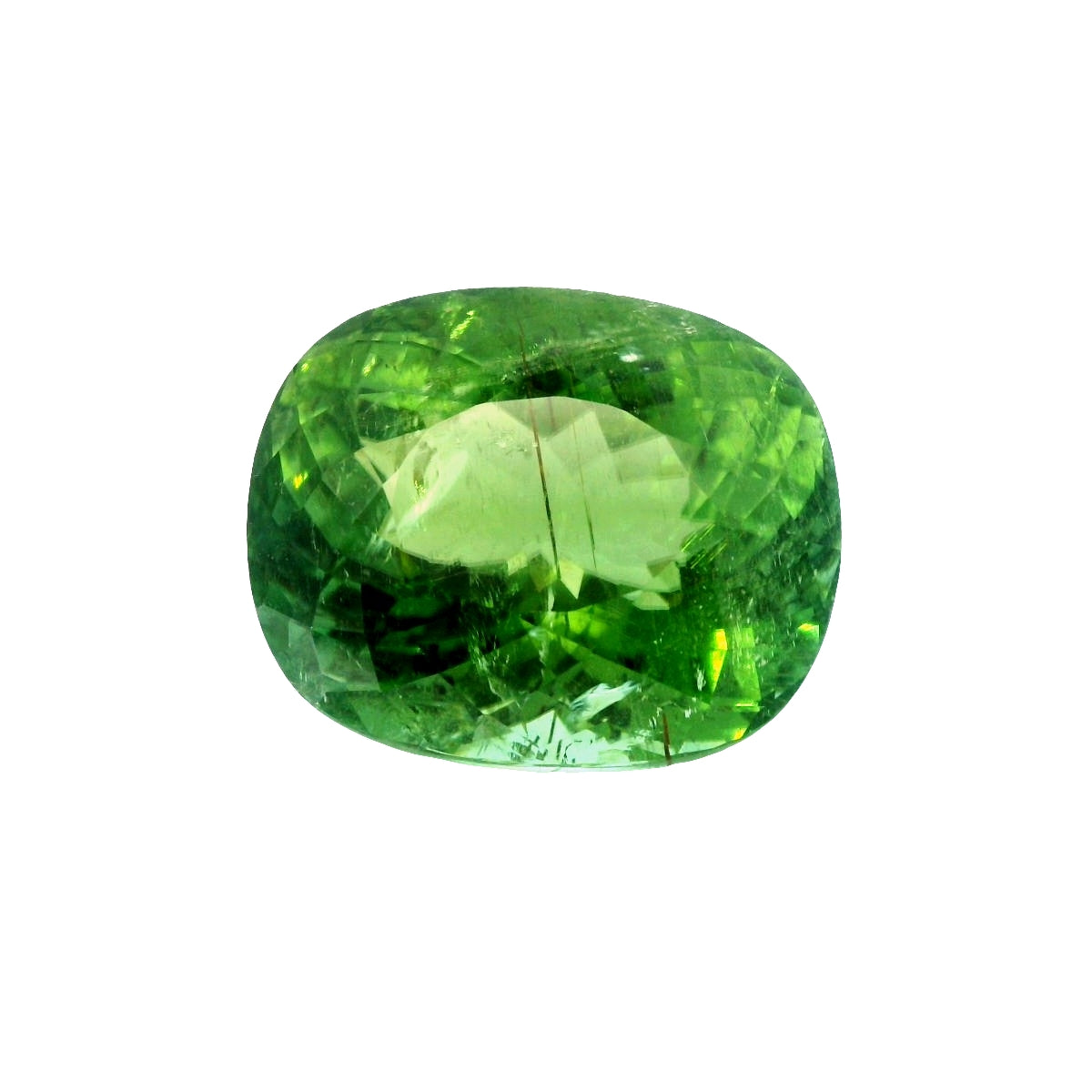 41.81ct Natural Green Paraiba Tourmaline & Cushion Cut!!